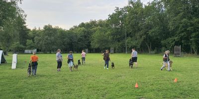 Begleithundetraining