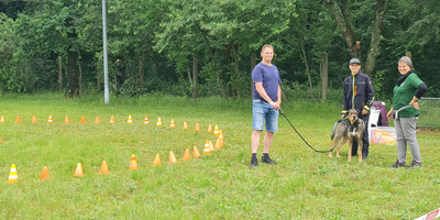 Longieren mit dem Hund